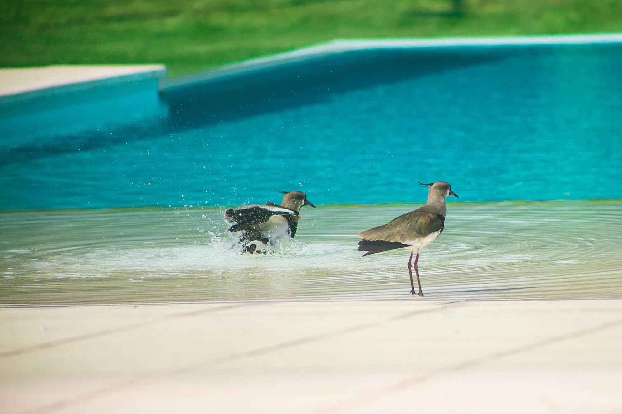 Amerian Villa Maria Park Hotel Ngoại thất bức ảnh